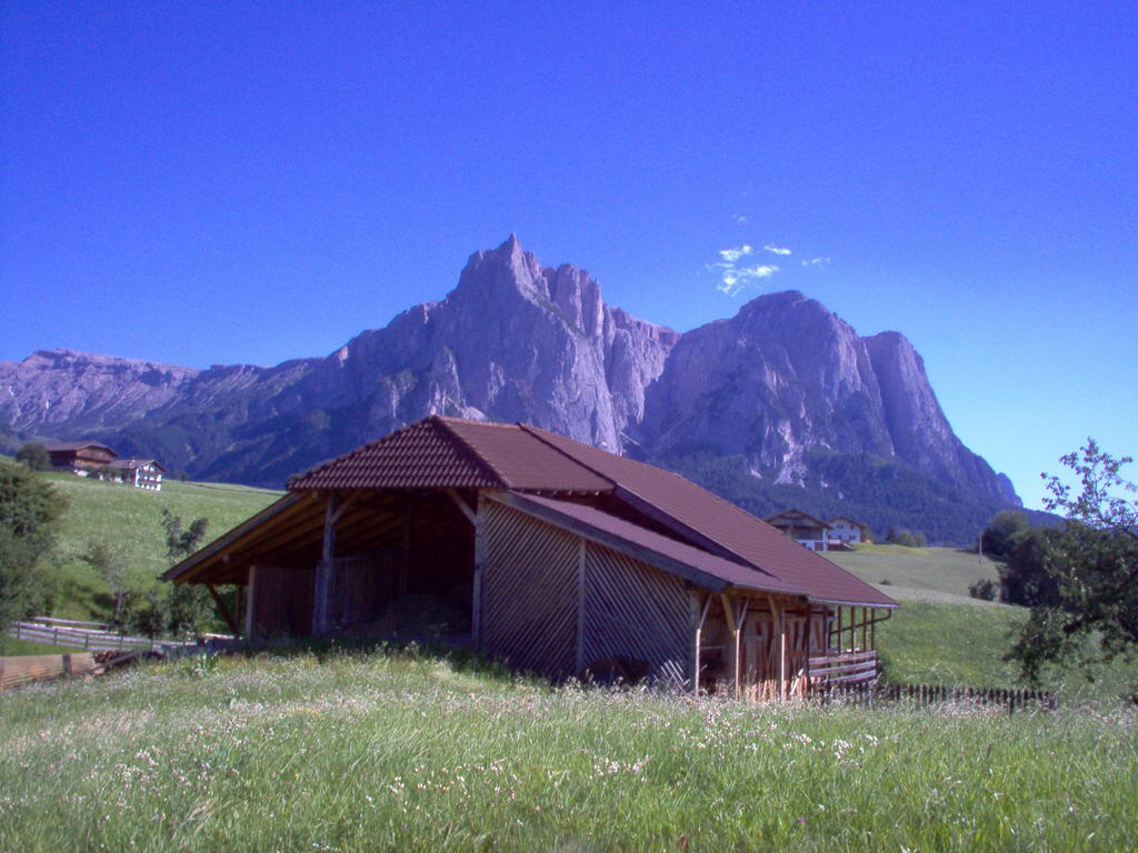 Residence Viktoria Castelrotto Extérieur photo